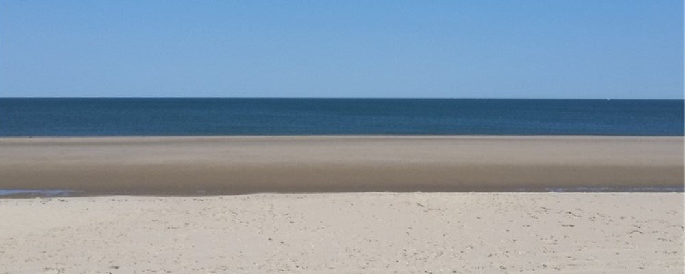 ANNA3 | 30 juni tot 29 september 2024 | Zomertentoonstelling 2024 | 'de zee, de zee!' | 14.00 uur - 17.00 uur | Sint-Anna-ten-Drieënkerk Antwerpen Linkeroever